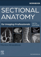 Workbook for Sectional Anatomy for Imaging Professionals