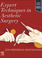 Expert Techniques in Aesthetic Surgery