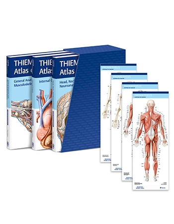 Atlas of Anatomy: jetzt bestellen im Thieme Webshop