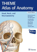 Head, Neck, and Neuroanatomy (THIEME Atlas of Anatomy)