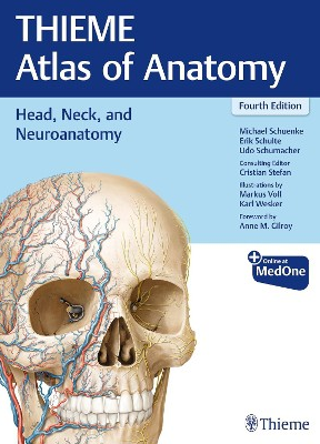 Head, Neck, and Neuroanatomy (THIEME Atlas of Anatomy) - 9781684205943