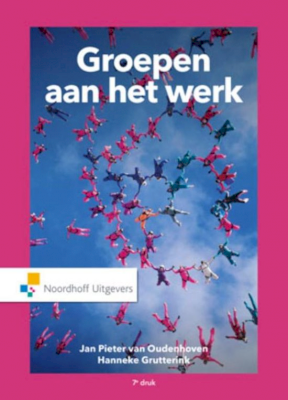 Groepen aan het werk - 9789001846251