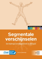 Segmentale verschijnselen