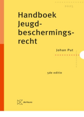 Handboek jeugdbeschermingsrecht 2025 - 9789048652419