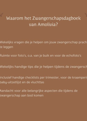 Mijn negen maanden - 9789083478012