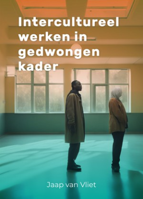 Intercultureel werken in gedwongen kader - 9789085603573