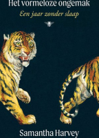 Het vormeloze ongemak