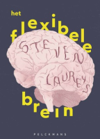 Het flexibele brein