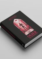 Ogier van Denemerken